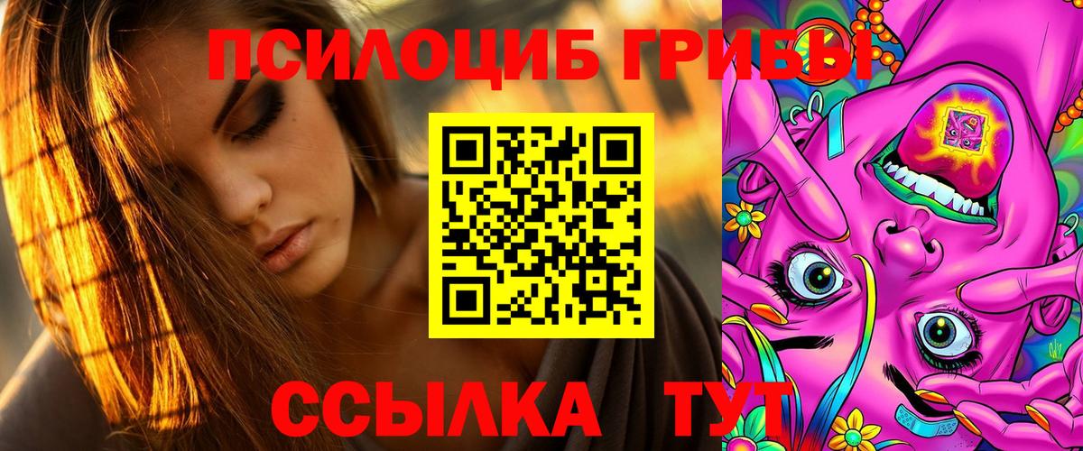 где купить   Псилоцибиновые грибы мухоморы  Вход с VPN  Ялта 